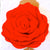 Flower - Red Felt Rose